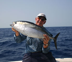 Key West Blackfin Tuna