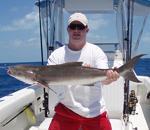 Key West Cobia