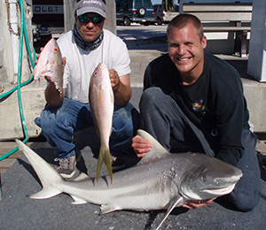 Key West Blacktip Shark Fishing Charters