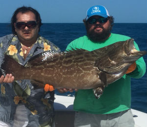 Key West Fishing Report End of November