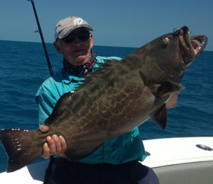 Black Grouper